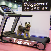 dogPACER